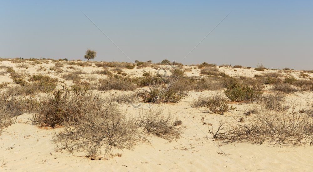 Blue Dubai Sky Over Arabian Desert Picture And HD Photos | Free ...