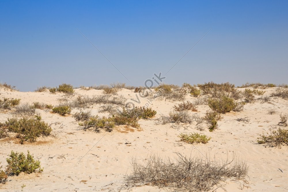 Blue Dubai Sky Over Arabian Desert Picture And HD Photos | Free ...