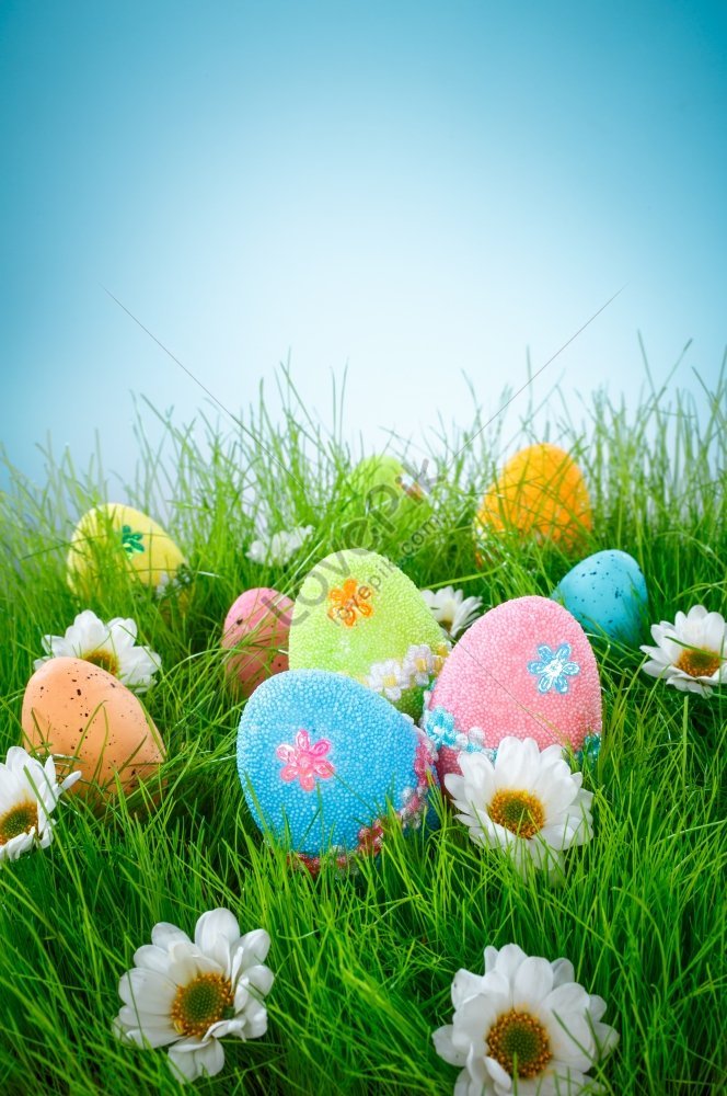 Decorated Easter Eggs In The Grass Against A Blue Sky Background ...