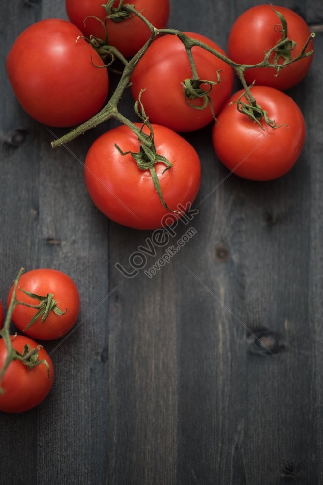 Cute Watercolor Tomatoes Mobile Wallpaper Background Wallpaper Image For  Free Download - Pngtree