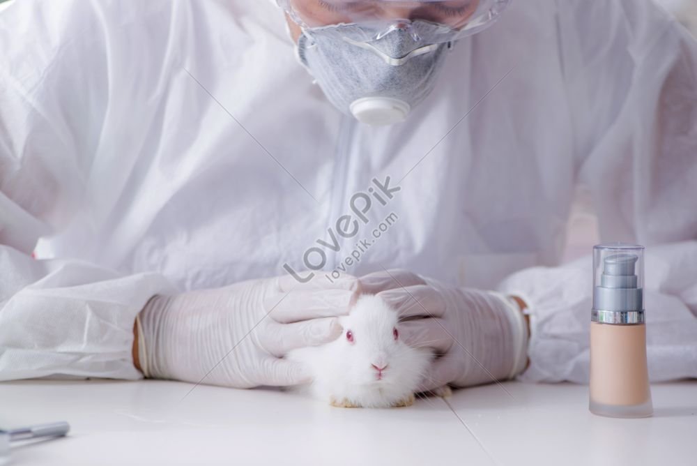 animal experiments background