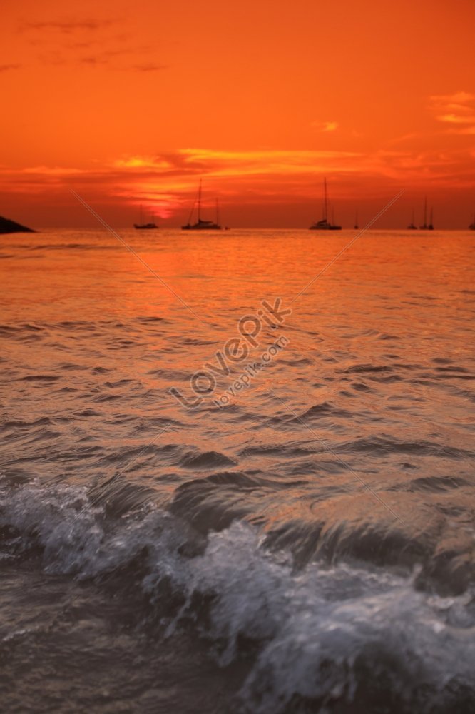 beautiful sunset over the sea with many yachts, sky, beautiful sunset, many HD Photo
