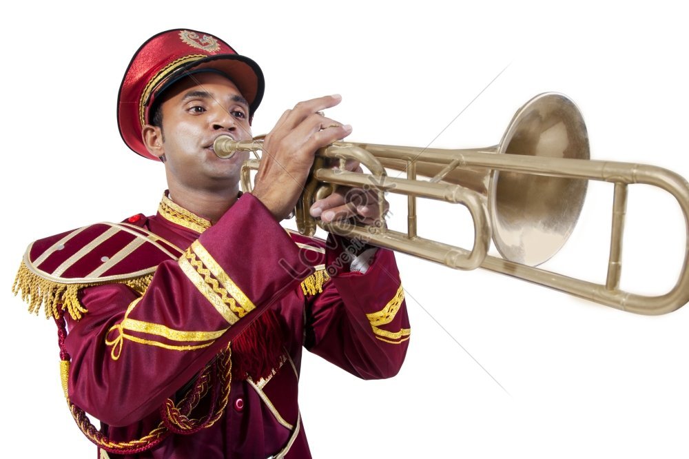 Trumpeter             -     - iStock