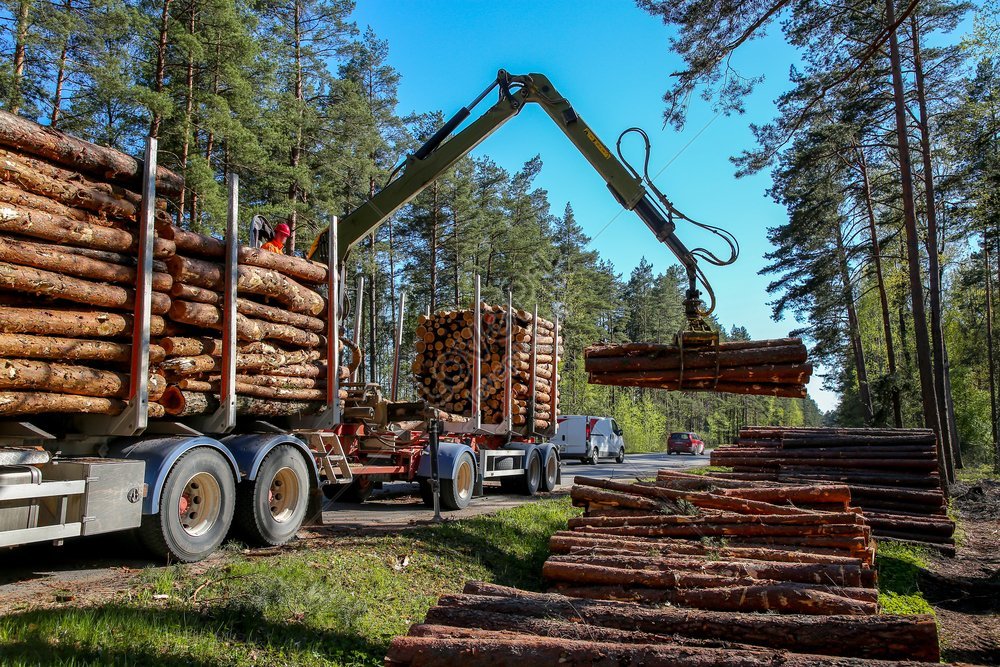 a crane operator loading logs onto a truck on a pleasant spring day timber harvesting and transportation in the forest a photo of the logging and forestry industry, tree, loading, spring HD Photo