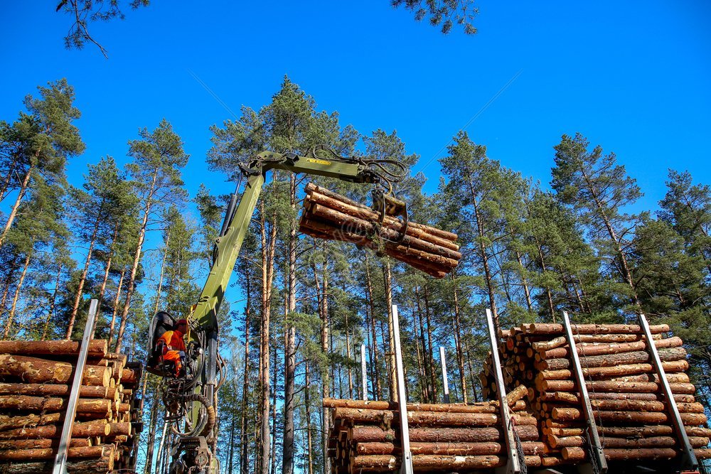 a crane operator loading logs onto a truck on a pleasant spring day timber harvesting and transportation in the forest a photo of the logging and forestry industry, loading crane, transport, spring photo HD Photo