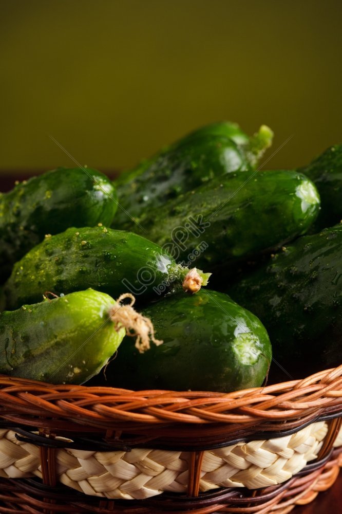 Agricultural Still Life Photo With Cucumbers Flowers And Green Leaves On Black Background 9388