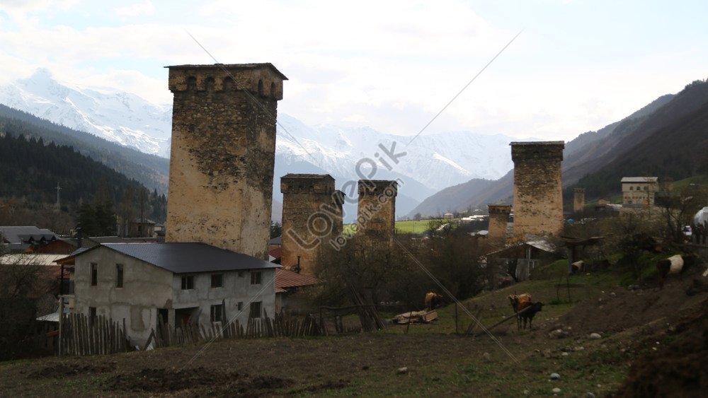 Местиа лючалаата