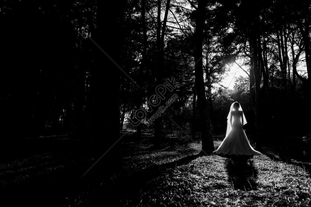 Girl Wearing Wedding Dress In Autumn Forest Against Wild Trees ...