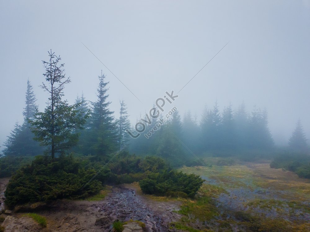 A Gloomy Mountain Landscape On A Rainy Day A Photo Of Muddy Meadow And ...