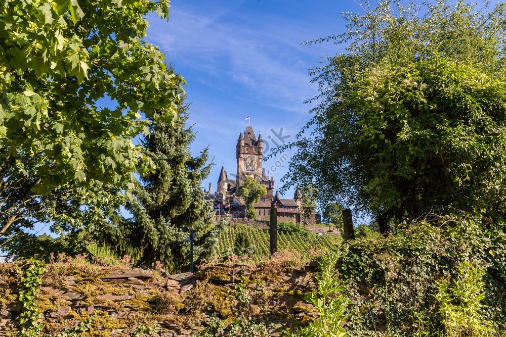 essaya photo essay of reichsburg castle in cochem on the mosel, idyllic, grapevine, castle HD Photo