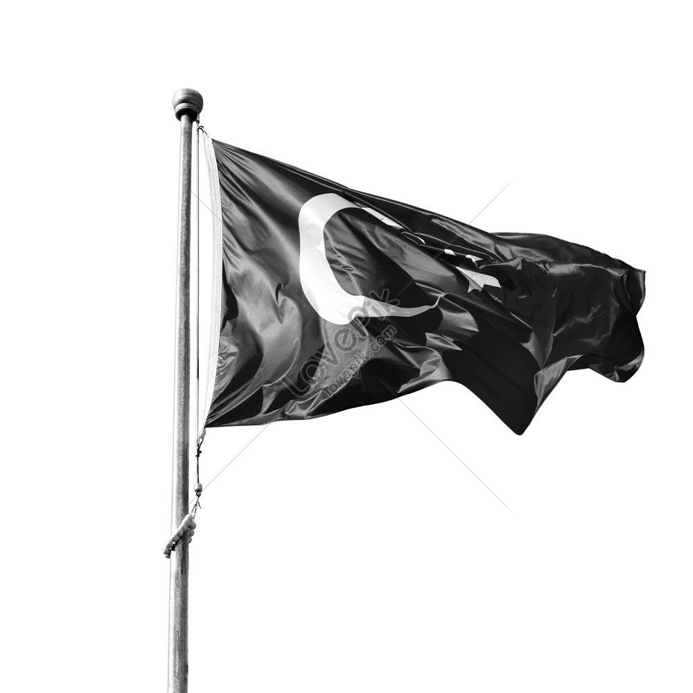 Ic nes De Drapeau Du Monde Images PNG Photos Cr atives