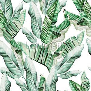 Banana Leaves Images, HD Pictures For Free Vectors Download - Lovepik.com