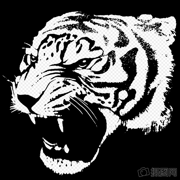 Gambar Harimau Kartun Hitam Putih - GAMBAR TERBARU HD