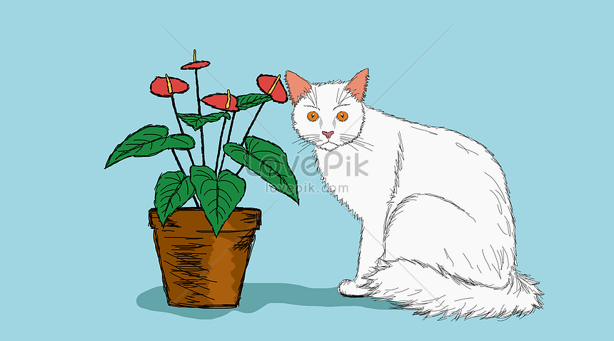 Sketsa Gambar Ilustrasi Kucing 81021+ Nama Untuk Kucing