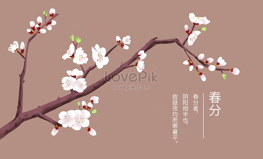 春分の花のイラストイメージ 図 Id Prf画像フォーマットpsd Jp Lovepik Com