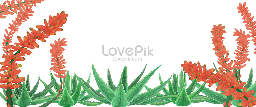 手描きアロエ植物の背景イメージ 図 Id Prf画像フォーマットpsd Jp Lovepik Com