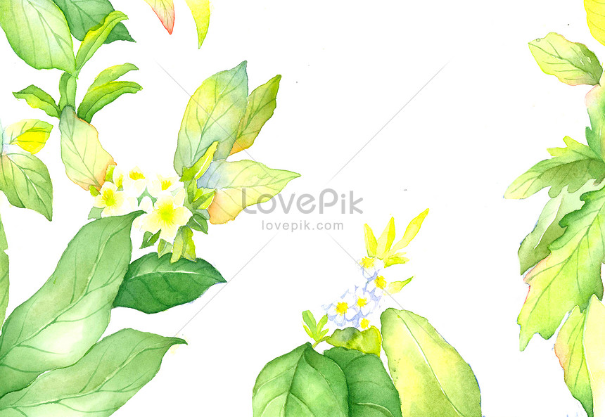 Photo de Élément Feuille Aquarelle, feuilles daquarelle, feuilles dessinées  à la main, éléments de feuille Illustration images free download - Lovepik