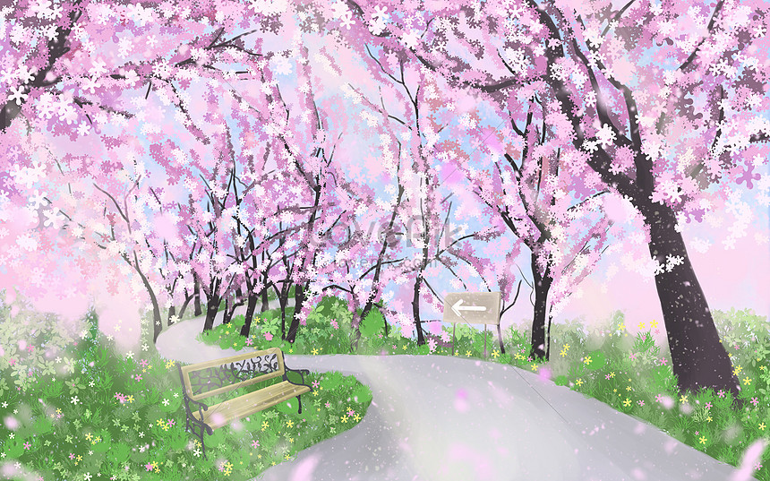 Jalan Bunga Sakura Romantis Gambar Unduh Gratis Ilustrasi