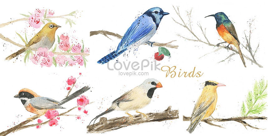 手描きの水彩画の鳥素材イメージ 図 Id Prf画像フォーマットpsd Jp Lovepik Com