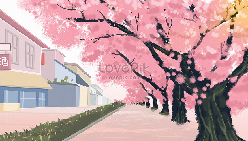 Jalan Bunga Sakura Gambar Unduh Gratis Ilustrasi