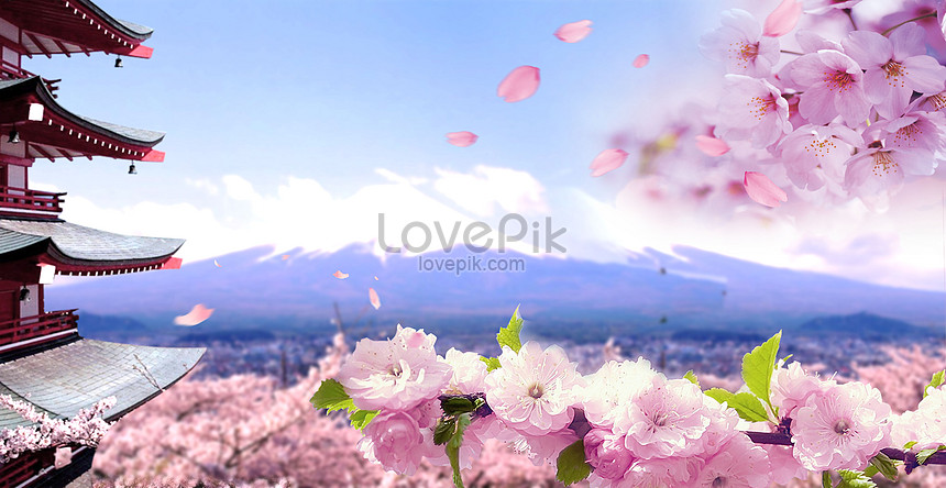Cherry Blossom Background Download Free | Banner Background Image on  Lovepik | 400113712