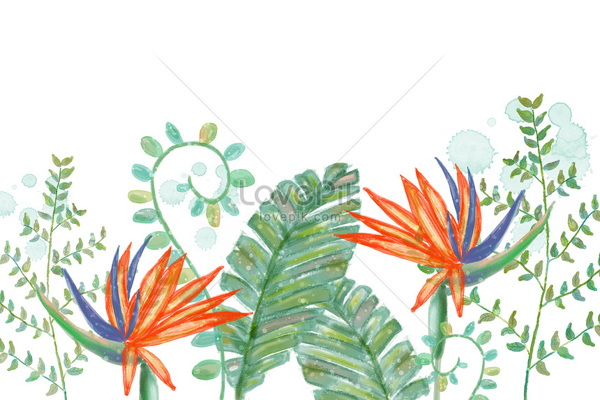 手描きの熱帯植物のイラストイメージ 図 Id Prf画像フォーマットpsd Jp Lovepik Com