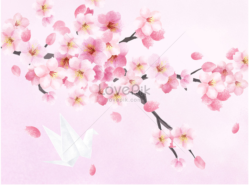 Bunga Sakura Dan Kertas Gambar Unduh Gratis Ilustrasi