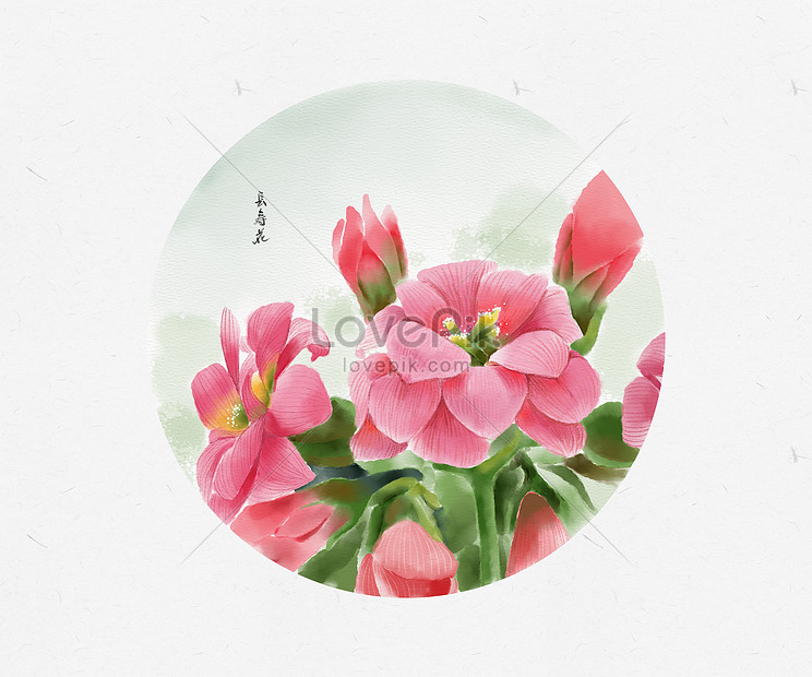 長寿の花の手描きイラストイメージ 図 Id Prf画像フォーマットpsd Jp Lovepik Com