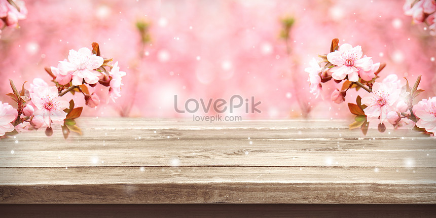 Pink cherry blossom background backgrounds image_picture free download  
