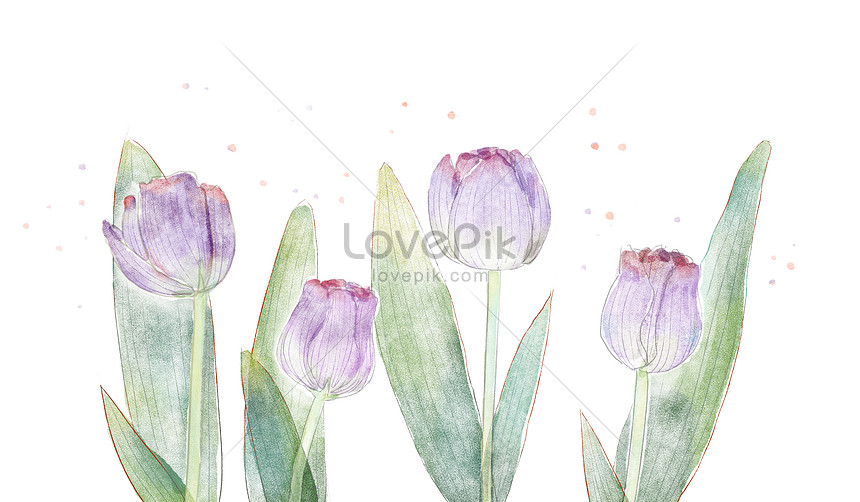 Water color tulip flower material illustration image_picture free ...