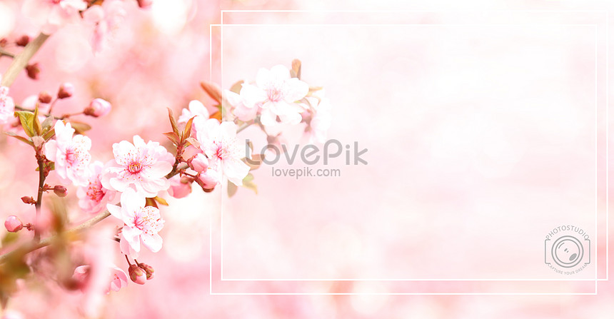 ピンクの桃の花の美しい春の背景イメージ クリエイティブ Id Prf画像フォーマットpsd Jp Lovepik Com