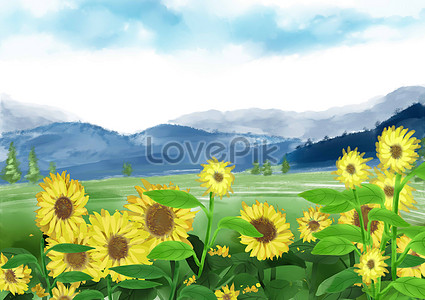 Sunflower Sunflower Picture And HD Photos | Free Download On Lovepik