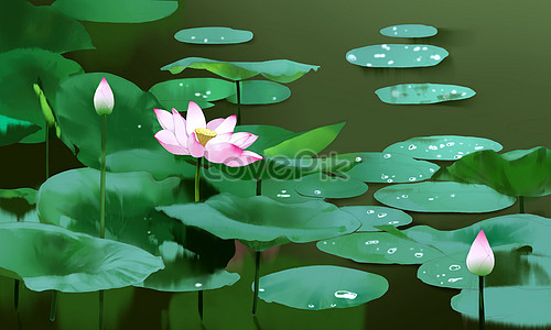 Beautiful lotus flower photo image_picture free download 500477009 ...