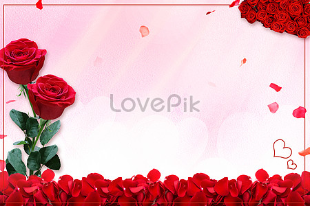 Rose Background Hd Photos Free Download Lovepik Com