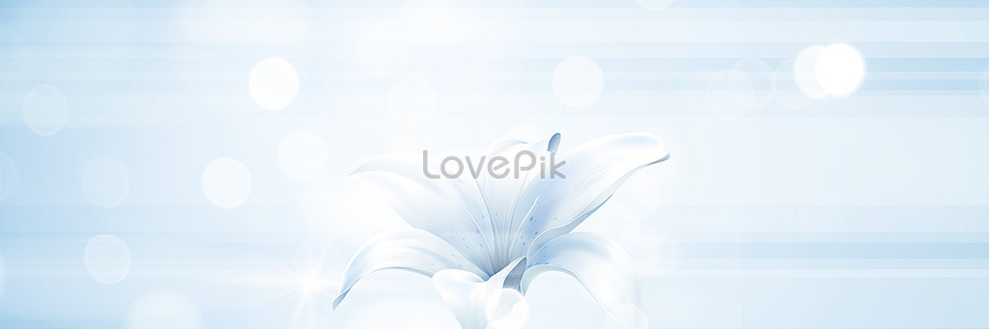 White Banner Images, HD Pictures For Free Vectors & PSD Download -  