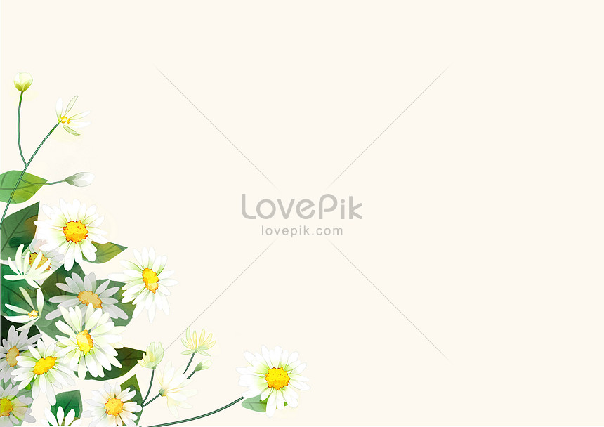 デイジーの葉の白い背景イメージ 図 Id Prf画像フォーマットpsd Jp Lovepik Com