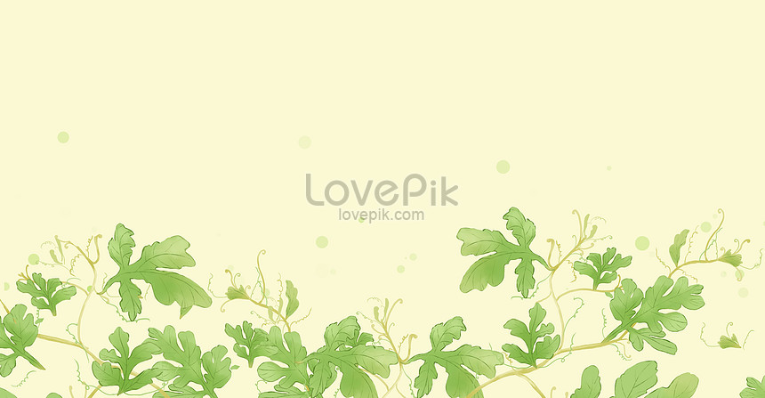 新鮮な植物スイカつる葉イラストイメージ 図 Id Prf画像フォーマットpsd Jp Lovepik Com