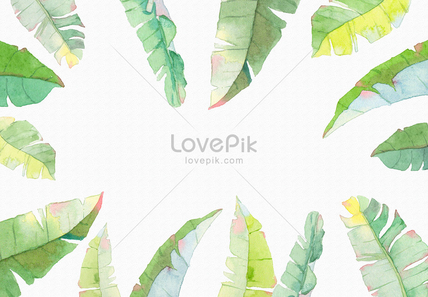 手繪水彩芭蕉葉背景素材圖片素材 Psd圖片尺寸43 3000px 高清圖片 Zh Lovepik Com