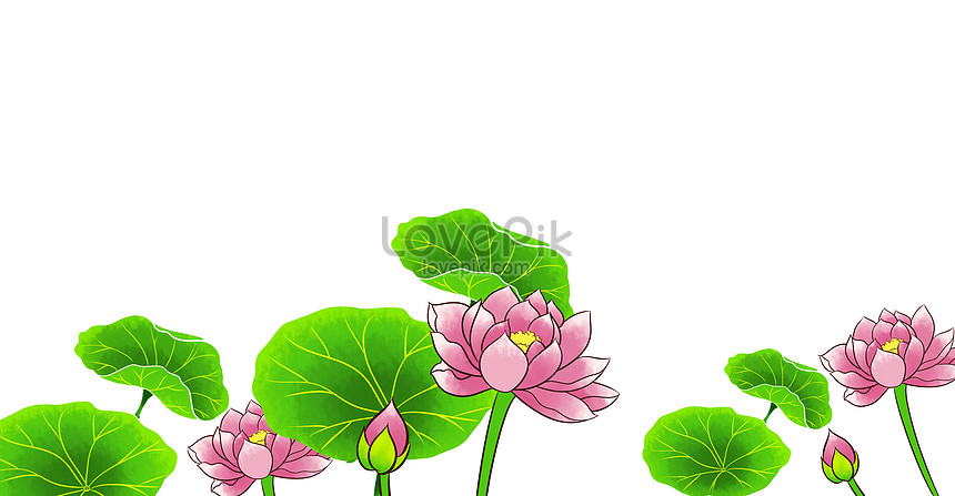 Lotus: illustration - Khám phá trọn vẹn vẻ đẹp của hoa sen thông qua hình ảnh minh họa tuyệt đẹp, mang lại sự thoải mái và độc đáo. 