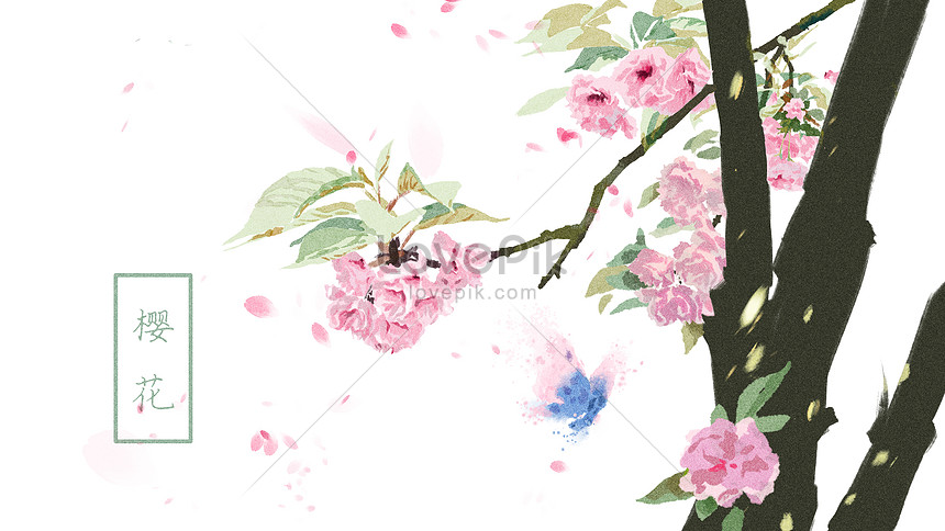 Cat Air Ilustrasi Tangan Ditarik Bunga Sakura Gambar Unduh