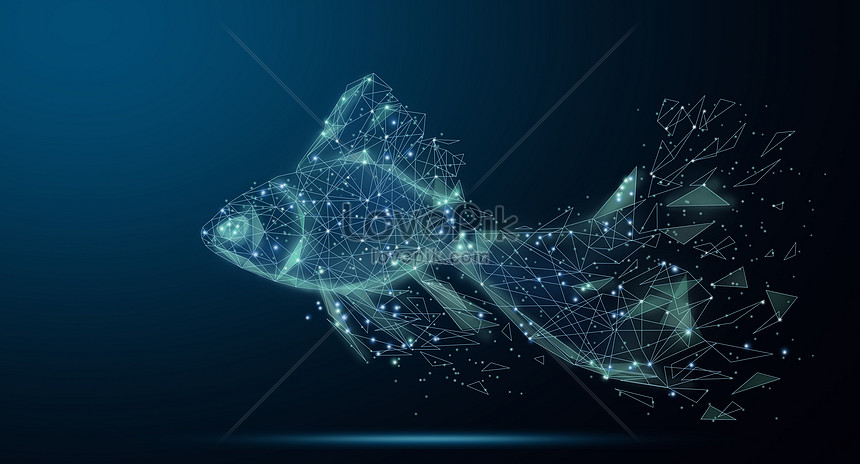 Kết quả hình ảnh cho hình nền cá chọi | Siamese fighting fish, Goldfish,  Beautiful fish