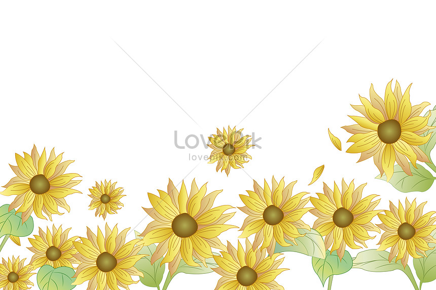 Sunflower background illustration image_picture free download ...