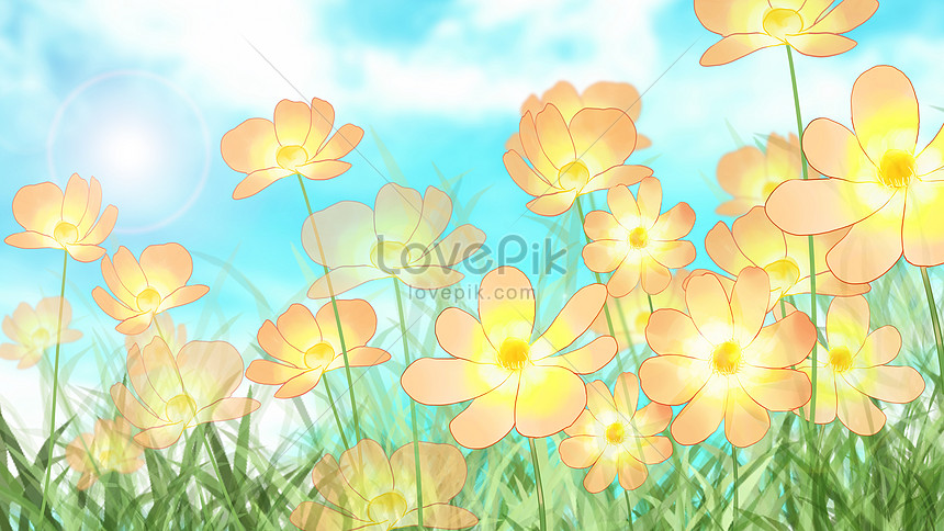 상큼한 코스모스 일러스트 무료 다운로드 Lovepik 7597