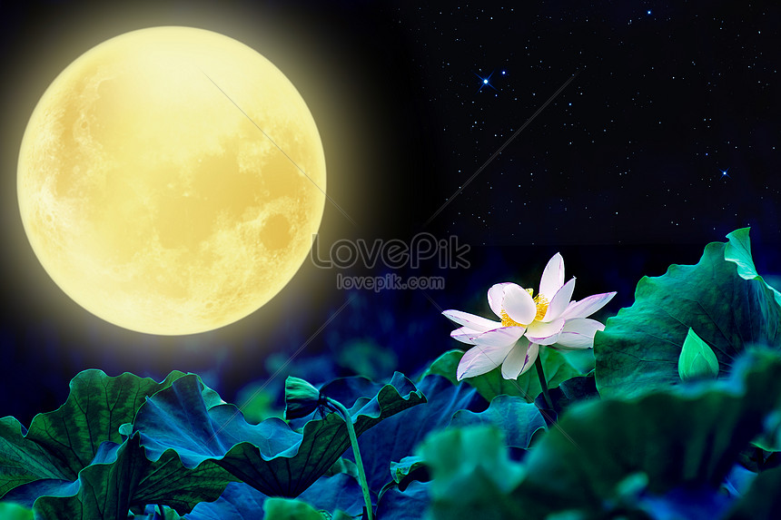 Hình nền động đêm trăng tròn | Hình nền, Phong cảnh, Hình ảnh