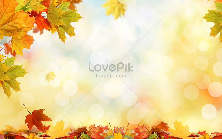 Hình Nền Mùa Thu đẹp Nền, HD và Nền Cờ đẹp mỹ học, mùa thu, phong cảnh để  Tải Xuống Miễn Phí - Lovepik