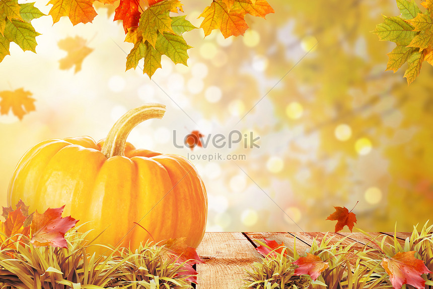 가을 아름다운 배경 배경 사진 및 창의적인 일러스트 무료 다운로드 - Lovepik