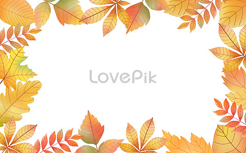 Maple Leaf Background Images, HD Pictures For Free Vectors & PSD Download -  