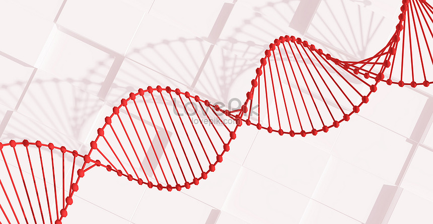 Двойная спираль ДНК изображение_Фото номер 400674211_C4D Формат  изображения_ru.lovepik.com