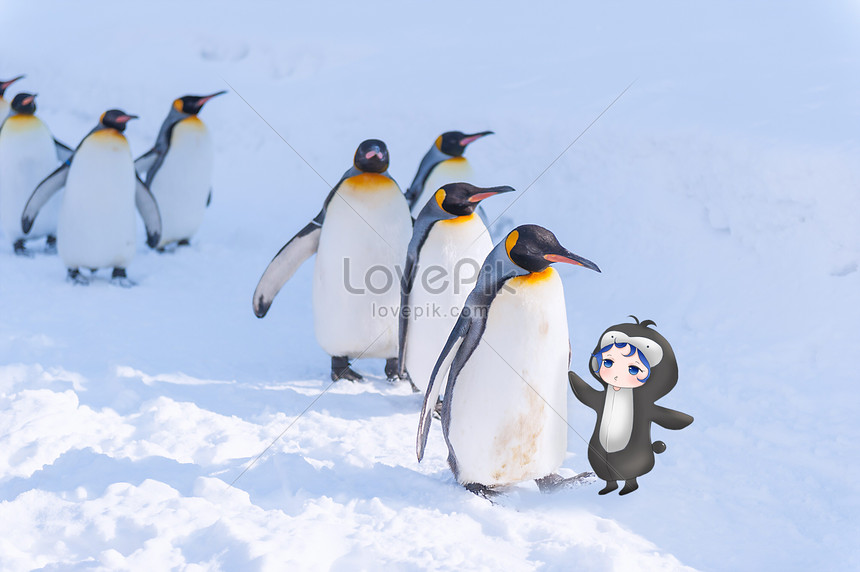 Photo De Bebe Pingouin Personnages De La Version Q Personnages De La Version Q Mignons Pingouins Illustration Images Free Download Lovepik