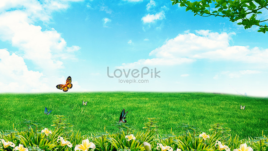 Butterflies fly in spring creative image_picture free download ...